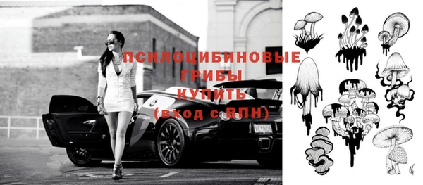 ALPHA PVP Алзамай