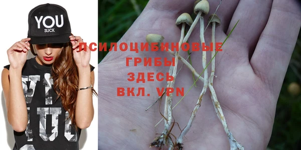 ALPHA PVP Алзамай
